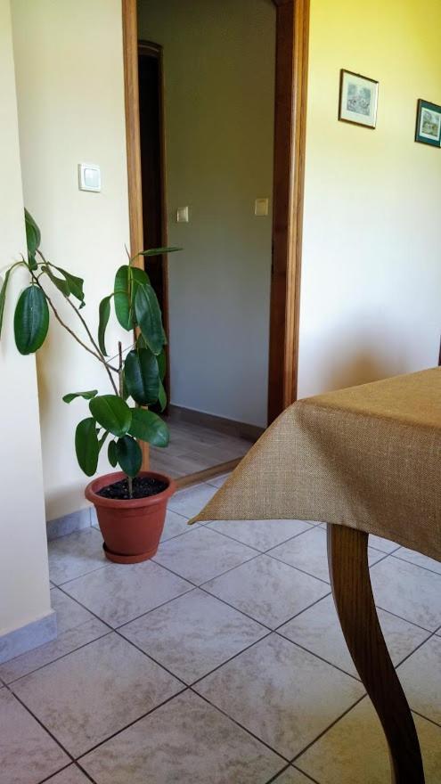 Hotel Bodó Ház Gyenesdiás Esterno foto